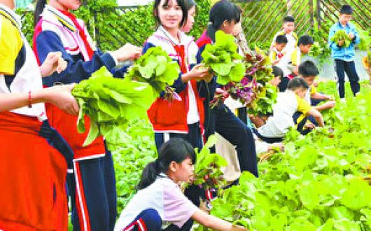 紅豐鎮(zhèn)中心小學(xué)推動勞動教育與課程教學(xué)融合發(fā)展